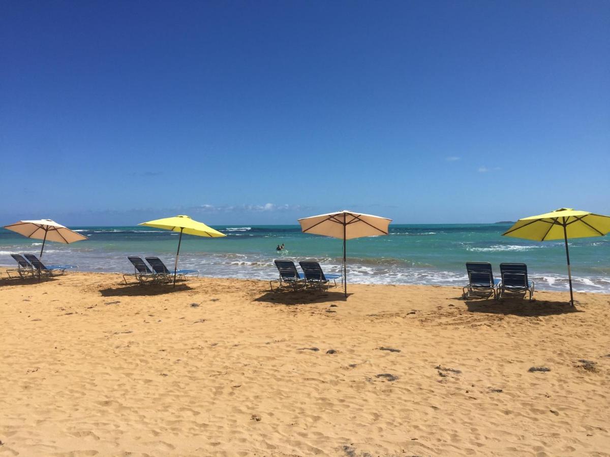 Blue Leaf By The Sea Διαμέρισμα Luquillo Εξωτερικό φωτογραφία