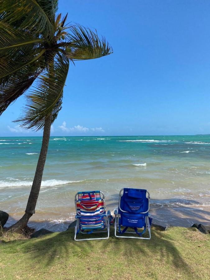 Blue Leaf By The Sea Διαμέρισμα Luquillo Εξωτερικό φωτογραφία